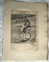 HYGINUS HENIOCHUS Perseus Astronomy Astrology Original ca1681 Engraving  - £70.99 GBP