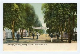 Catalina Avenue Postcard Santa Catalina Island California Canvas City  - £8.14 GBP