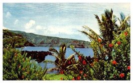 Maui Scenic Drive on the Coastal Road to Hana Hawaii Postcard - £4.43 GBP