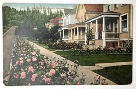 1910 Portland, Oregon A Rose Walk Pc Houses Gardens Flowers Neighborhood Scene - £7.51 GBP