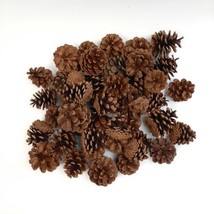 45 Pinecones Cinnamon Scented Holiday Yule Decor Vase Filler Crafts 1&quot;-3... - £8.99 GBP