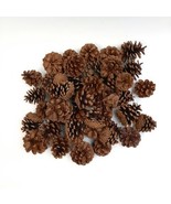 45 Pinecones Cinnamon Scented Holiday Yule Decor Vase Filler Crafts 1&quot;-3... - £8.87 GBP