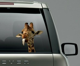 car sticker rear window waterproof / exterior sticker / decal funny giraffe - £11.06 GBP