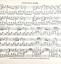 1886 Sweet Briar Polka Sheet Music Parlor Organ Victorian 11.5 x 9&quot; Ephe... - $19.99