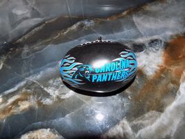 GOOD STUFF CAROLINA PANTHERS NFL MINI FOOTBALL 4 3/4 INCHES LONG - $9.00