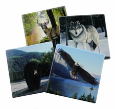 Forest Pack- Protect Your Furniture with These Decorative Coasters - $338.22 MXN