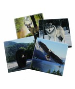 Forest Pack- Protect Your Furniture with These Decorative Coasters - €15,00 EUR