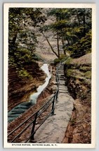 Watkins Glen NY Sylvan Rapids Postcard M30 - £3.69 GBP