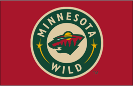 NHL Hockey Minnesota Wild Mens Polo Shirt XS-6XL, LT-4XLT North Stars Dallas New - £23.29 GBP+