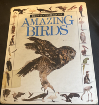 Amazing Birds Eyewitness Juniors - £3.73 GBP
