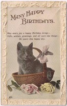 Birthday Postcard Happy Birthday Cat In Basket Roses Embossed Edge Britain - £1.69 GBP