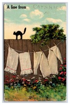 Comic Greetings Clothesline and Black Cat on Fence DB Postcard S2 - £2.30 GBP