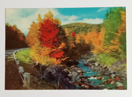 Autumn Roads Scenic Mountain Northeast PA Fall Foliage Dexter Postcard 1950s - £3.13 GBP