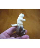 (TNE-OTT-259-B) white Otter Nutria TAGUA NUT Figurine Carving Vegetable ... - £17.08 GBP