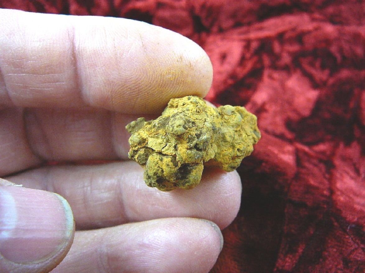 (PP450-7) 1&quot; Genuine Fossil TURTLE POOP Coprolite DUNG WEIRD WA state sc... - $10.39