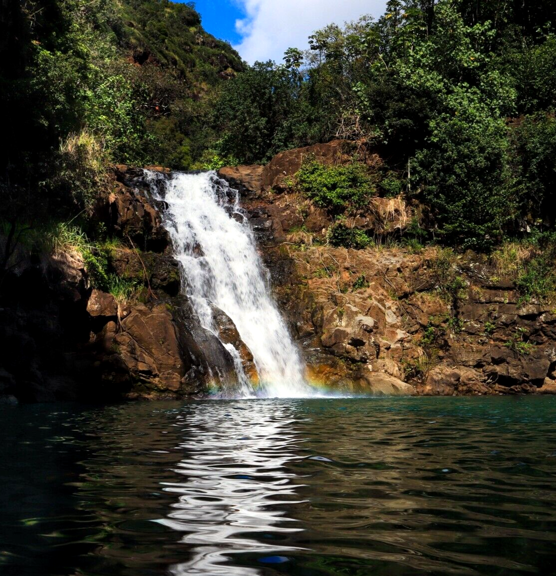 An item in the Art category: Waimea Falls 8 x 10 Giclee Art Paper Print with 11 x 17 Black Matting