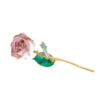 24K Gold Trimmed Lacquered Long Stem Cream Picasso Rose - $169.00