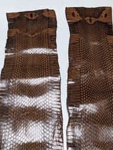 Asia Cobra Snake Skin w/ Hood Mark Snakeskin Hide Leather Brown  - $372.20 MXN+