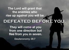 POPULAR BIBLE VERSE SCRIPTURE DEUTERONOMY &quot;THE LORD WILL GRANT THAT THE&quot;... - $8.90