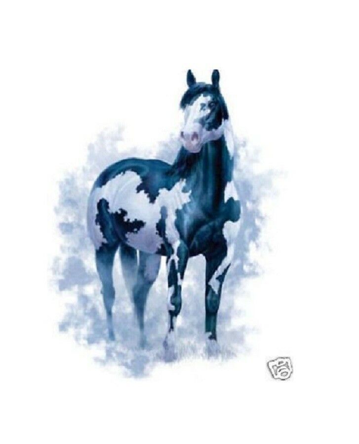 Primary image for Black Overo Paint Horse HEAT PRESS TRANSFER for T Shirt Sweatshirt Fabric #247f