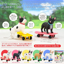 Skateboard French Bulldogs Mini Figure Collection - Complete Set of 5 - £26.38 GBP