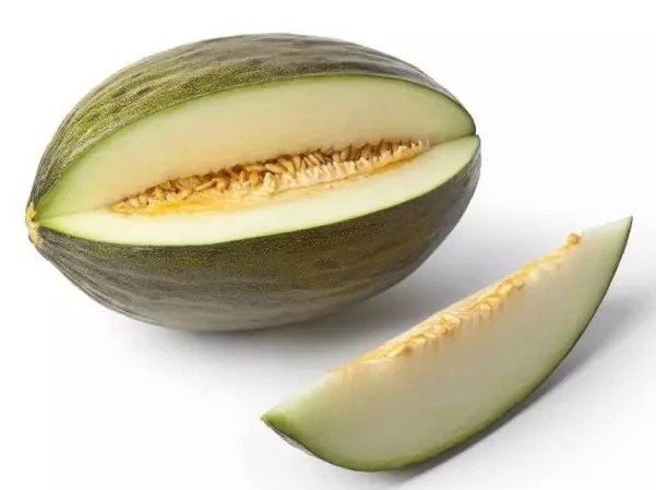 12+ Early Valencia Melon Seeds -- Valencia Winter Honeydew -- Heirloom -... - $8.32