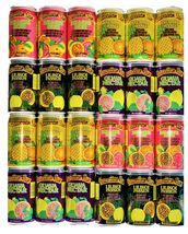 Hawaiian Sun Drinks 24 Pack Sampler (6 cans of 4 Flavors) - $78.95