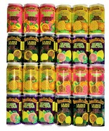 Hawaiian Sun Drinks 24 Pack Sampler (6 cans of 4 Flavors) - £61.66 GBP