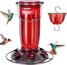 Luxurious Glass Hummingbird Feeder - 6 Petal Ports, Ideal for Bird Lovers - $42.52