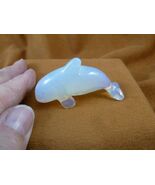 (Y-WHA-KI-737) white Opalite glass KILLER WHALE ORCA gemstone figurine w... - $458.41 MXN