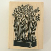 A Stamp in the Hand Co. Daffodils Long Stem Flowers Planter Box Dovetail Corner - $9.00