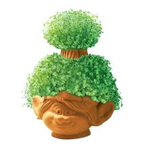 Chia Pet Planter - Flower Plant Seed Trolls World Tour- Poppy Garden Indoor Pots - £19.77 GBP