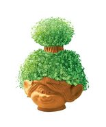 Chia Pet Planter - Flower Plant Seed Trolls World Tour- Poppy Garden Ind... - £19.71 GBP