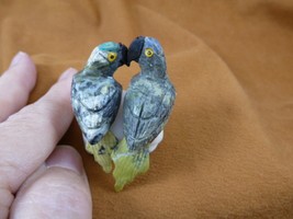 y-bir-pa-453 PARROT Macaw pair bird gray gemstone SOAPSTONE figurine lov... - $20.56