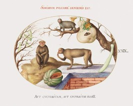 14136.Decor Poster.Room wall art design.Vintage drawing.Animal world.Monkeys - £12.98 GBP+