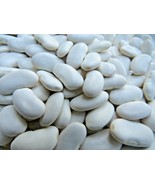 Alaric (Tabais)  large, succulent white bean ideal for soups and stew - $5.75