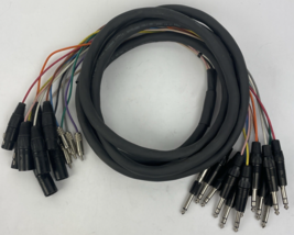 12 Channel Male 1/4&quot; Phone to 3-Pin Neutrik XLR Black Female Male Snake ... - €102,16 EUR