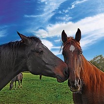 Loving Horse 40&quot; x 40&quot; Print On Canvas Painting Wall Art for Wall Décor ... - $24.45