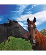 Loving Horse 40&quot; x 40&quot; Print On Canvas Painting Wall Art for Wall Décor ... - $33.50 CAD