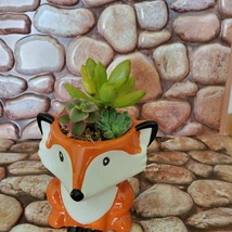Mini Fox Planter with Succulent Arrangement, Succulent Gift, Animal Planter Pot image 7