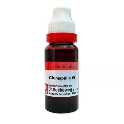 Dr. Reckeweg Homeopathy Chimaphila Umbellata Mother Tincture Q (20 ML) - $9.25
