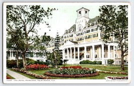 Postcard FL Florida Palm Beach Royal Poinciana Early 1900s Unused - $5.94