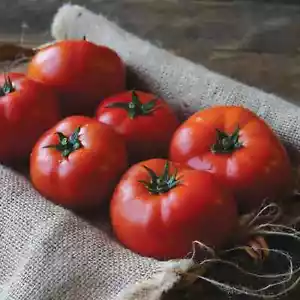 50 Seeds Emmylou Tomato Juicy Tomatoe Vegetable Edible Food Fresh Garden - £7.28 GBP