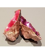 NATURAL ADRIATIC SEA SHELL UNIQUE HAND ENCHANCED ONE OF THE KIND GREAT G... - $100.66 CAD