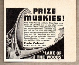 1951 Print Ad Lake of Woods Prize Muskies Ernie Calvert Rainy River,Onta... - £6.60 GBP