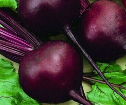 CLK BEET SEEDS 100+ DETROIT DARK RED survival GARDEN healthy VEGETABLE - $3.07