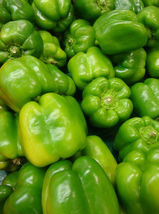 50+ Yolo Wonder Pepper Seeds  Sweet Bell Vegetable Garden NON-GMO  - £6.85 GBP
