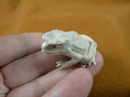 FROG-W17) little Frog shed ANTLER figurine Bali detailed carving amphibi... - $58.89