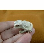 FROG-W17) little Frog shed ANTLER figurine Bali detailed carving amphibi... - €51,11 EUR