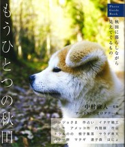 The Other Akita &quot;Photo Guide Book&quot;~Things Come into View While Living in Akita~ - £33.71 GBP